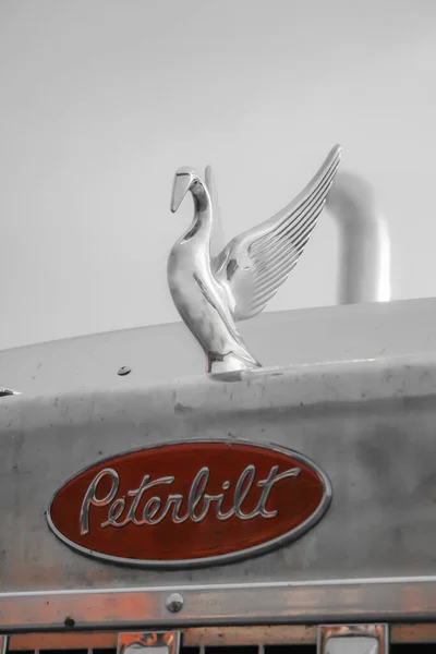 Ponferrada Leon Spain 2009 Detail Shot Chrome Swan Shaped Emblem — Stock Photo, Image