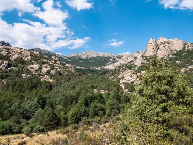 Madrid 'deki Sierra de Guadarrama' nın güney yamacındaki La Pedriza 'nın panoramik manzarası. Dağlardan ve kayalıklardan oluşan muhteşem bir yazı bu tuhaf taşla yaratıldı.