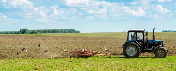 Trekker op het veld — Stockfoto