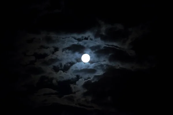 Moon night — Stock Photo, Image