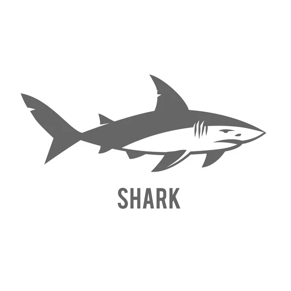 白で隔離様式化されたサメの白黒イラスト. — ストックベクタ