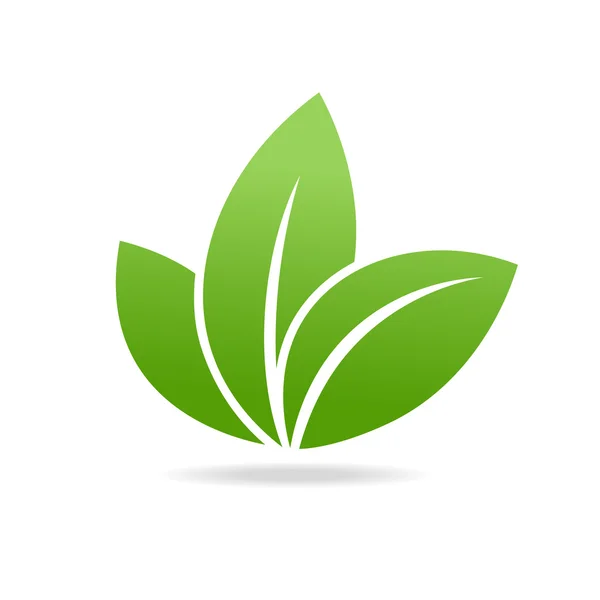 Icono ecológico con hoja verde. Aislado sobre fondo blanco . — Vector de stock