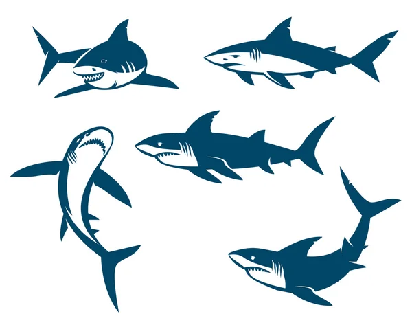 Set of big sharks black silhouettes. — Stock Vector