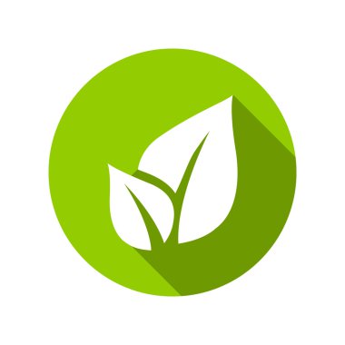 Düz yaprakları simgeler.