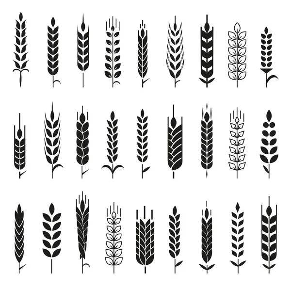Set di icone e logo per le orecchie di grano . — Vettoriale Stock