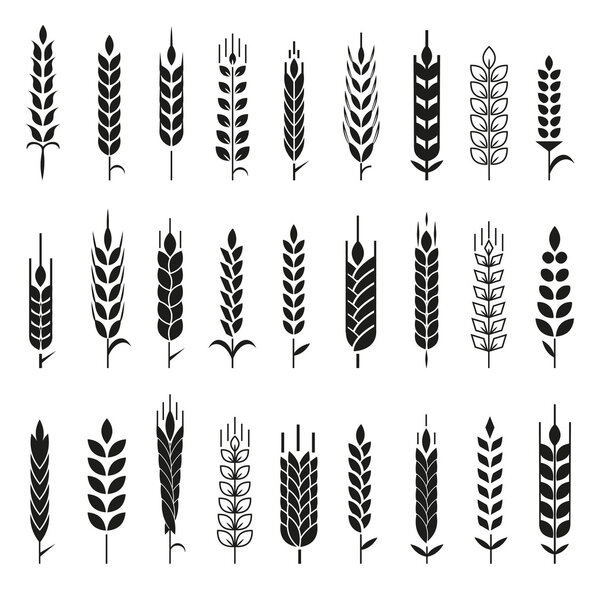 Wheat Ears Icons and Logo Set.