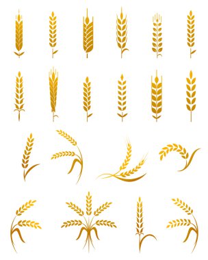 buğday kulak Icon set.
