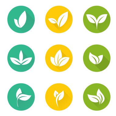 Vektör tropikal yaprak ayarla.