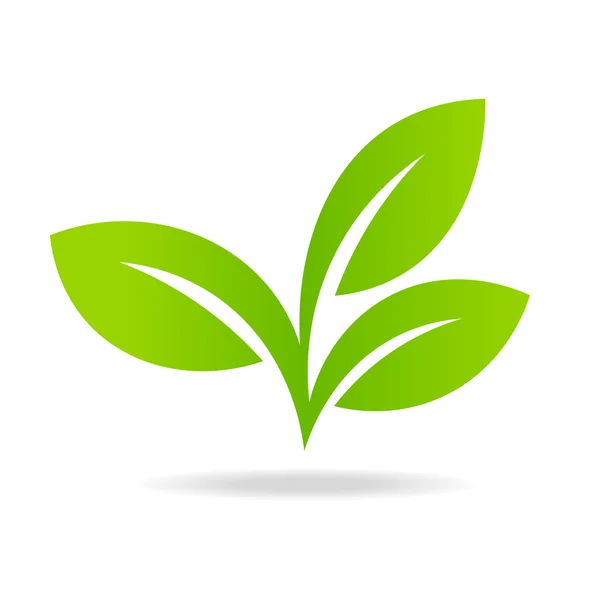 Eco εικονίδιο με πράσινο φύλλο. — Διανυσματικό Αρχείο