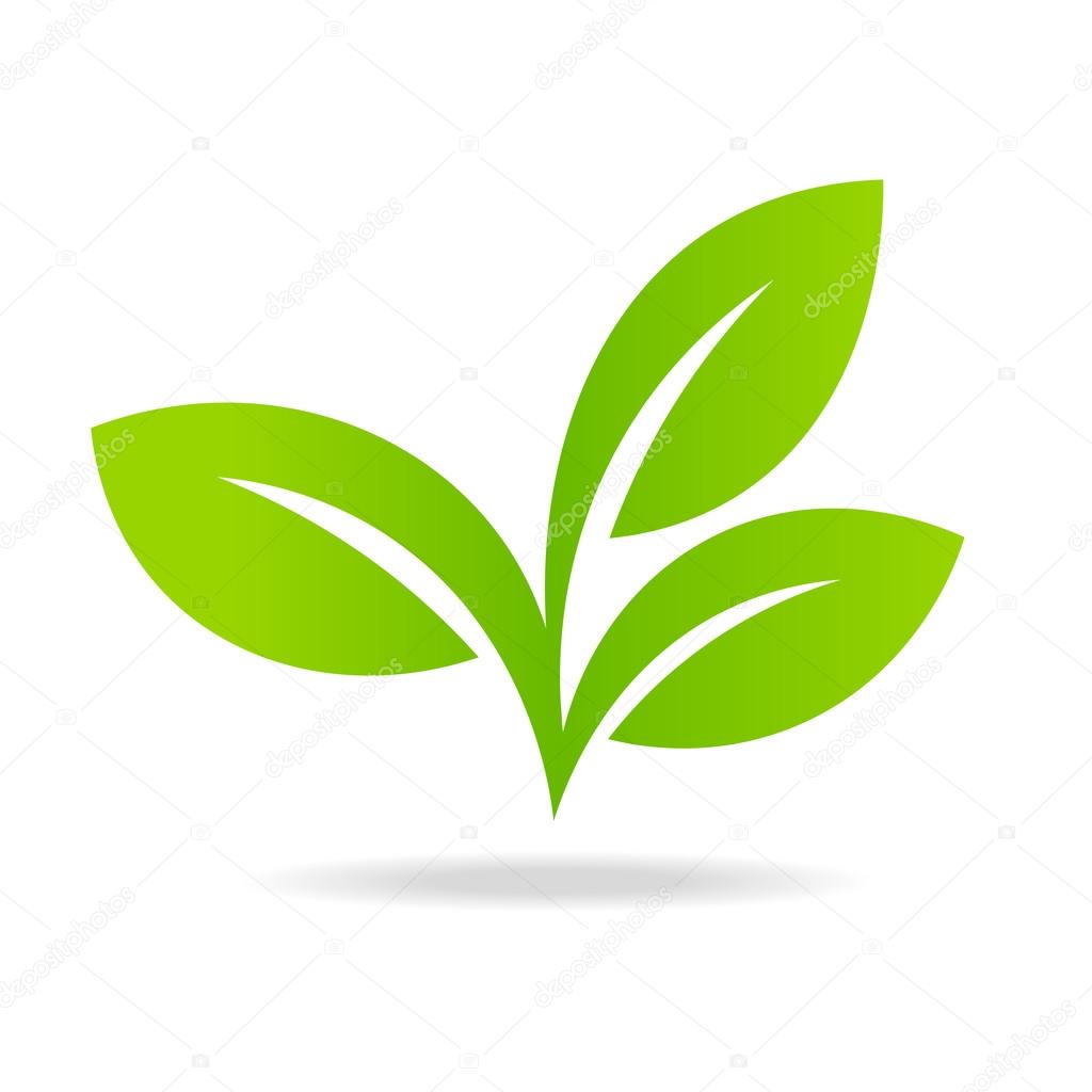 Ícone Eco com folha verde . Vetor de ©nadia1992 117816716, image size:1024x1024
