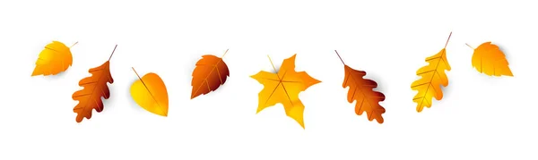 Autumn leaves border. Collection of autumn leaves oak, maple, hawthorn, aspen. Set of yellow, orange and red leaf, isolated on white background. Herbarium, botany. Fall maple leaves for decoration. — Stock Vector