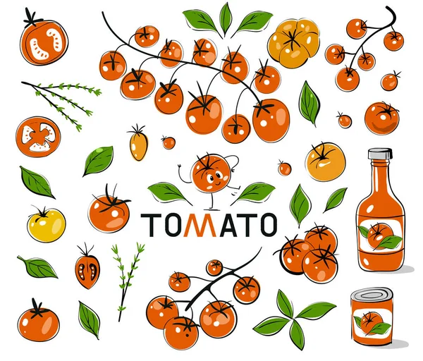 Tomates rojos. Tomate dibujado a mano con contorno negro. Conjunto vectorial de ramas de tomate. Set con garabatos coloridos dibujados a mano. Bosquejo estilo vector colección. — Vector de stock