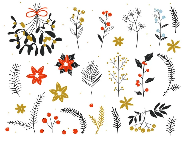 Boże Narodzenie kwiatowa kolekcja z roślin ozdobnych i kwiatów zimowych. Zimowe gałęzie i liście. Ręcznie rysowane elementy kwiatowe. Wesołych Świąt ręka rysunek kartkę z życzeniami. elementy zimowe. botaniczne — Wektor stockowy
