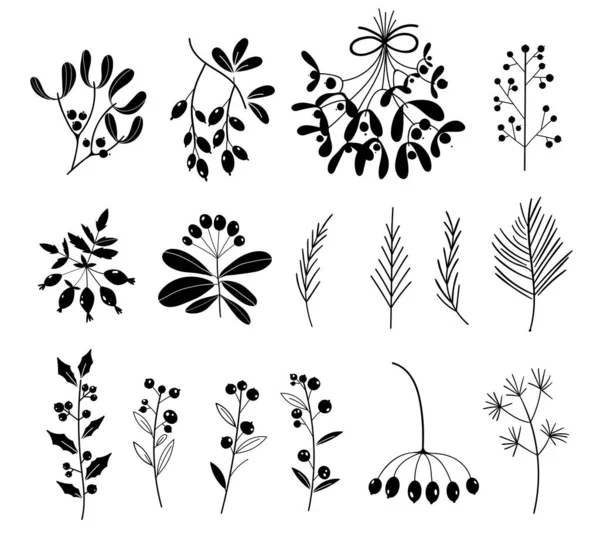 Set van zwart-witte silhouetten van planten geïsoleerd op witte achtergrond. Kerst bloemencollectie met winter decoratieve planten en bloemen. Winterplanten. Kerstboomtakken. — Stockvector