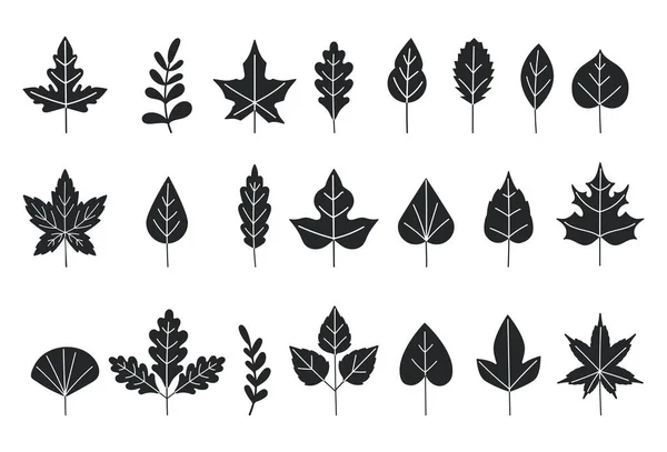 Czarne sylwetki liści drzew. Jesienne liście odizolowane na białym tle. Ilustracja wektora. Zestaw ikon liści. Zestaw gałęzi drzew, eukaliptusa, liści palmowych, ziół i sylwetek kwiatów Grafika Wektorowa