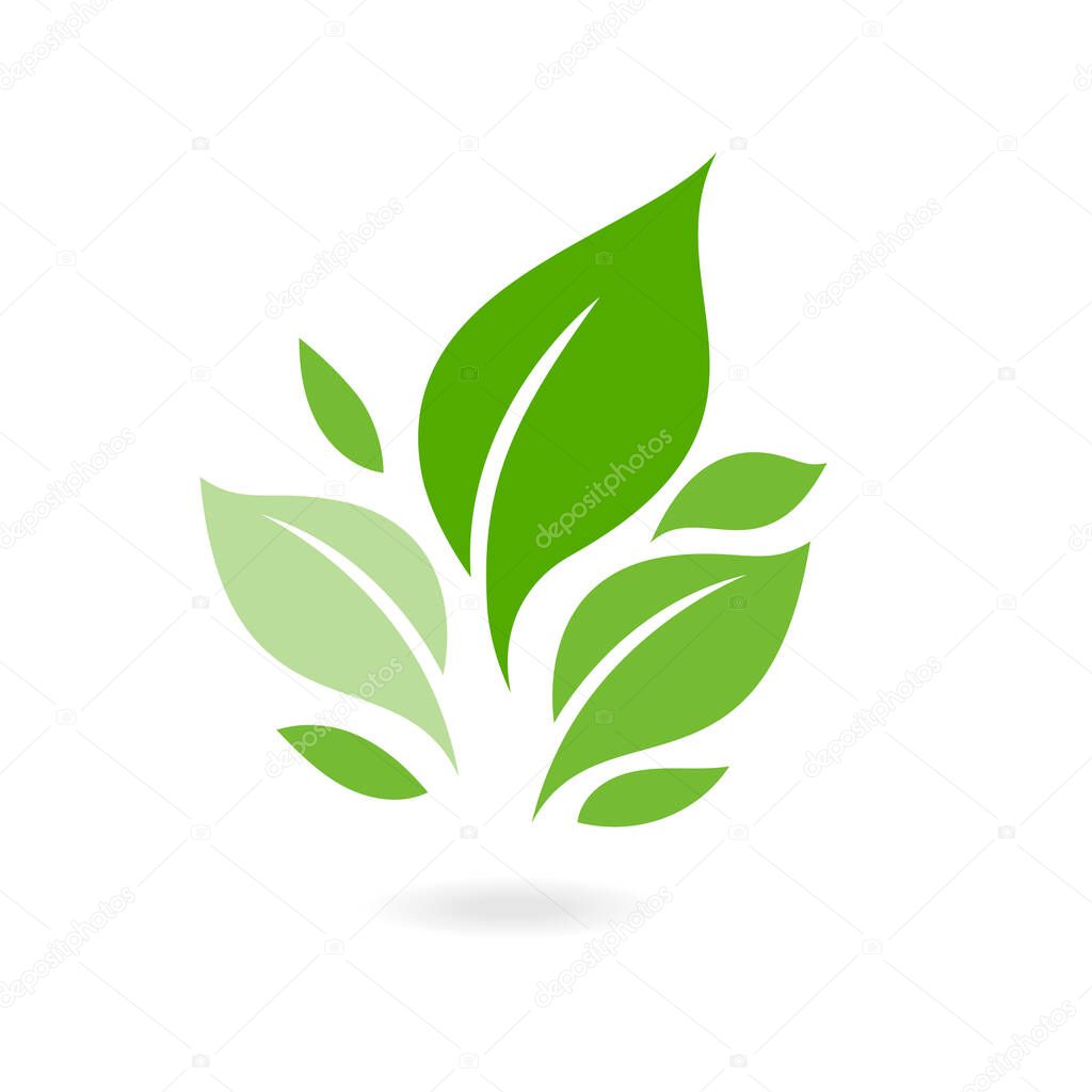 Green leaf ecology nature vector icon. plants and leaves. Logos of green leaf ecology nature element vector icon. Tree leaf ecology nature vector icon.
