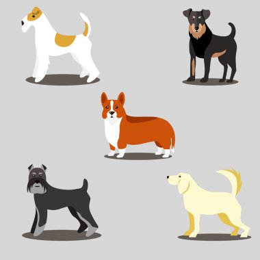 Köpekler vektör set simgeler ve resimler