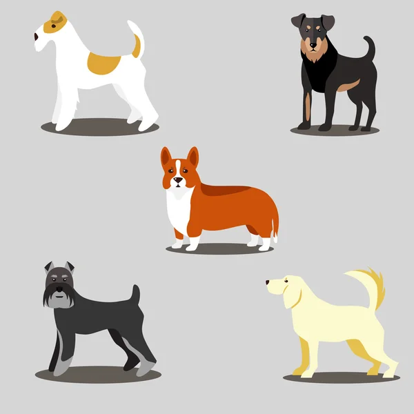 狗向量集的图标和插图 — 图库矢量图片