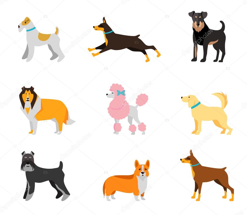 Dogs vector set of icons and illustrations 
