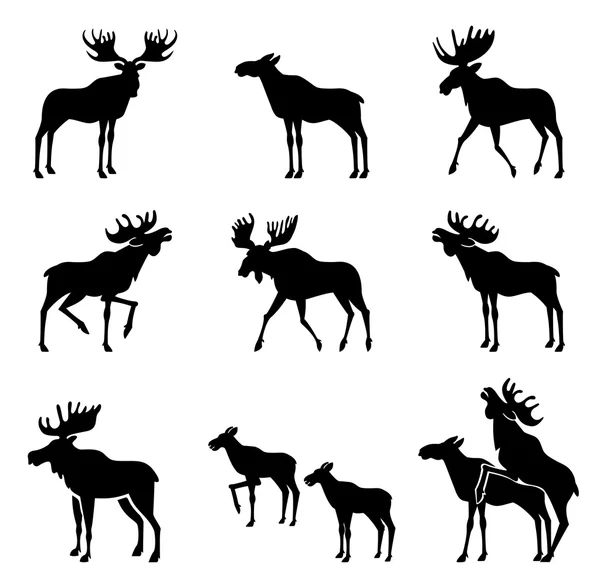 Set of Moose Silhouettes. — Stock Vector