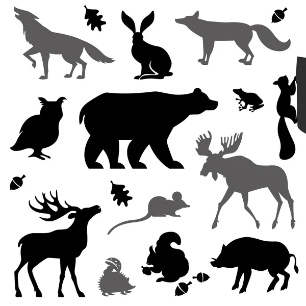 Животные, живущие в европейских лесах . — стоковый вектор