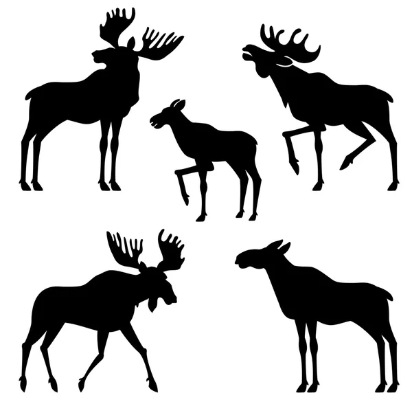 Moose vector silhouette — Stock Vector