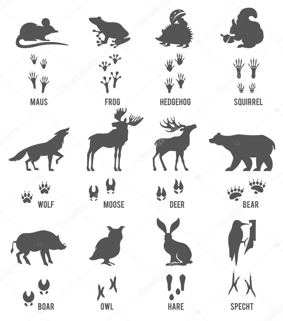 Set of Animal and Bird Trails Stock Vector Image by ©nadia1992 #83707690
