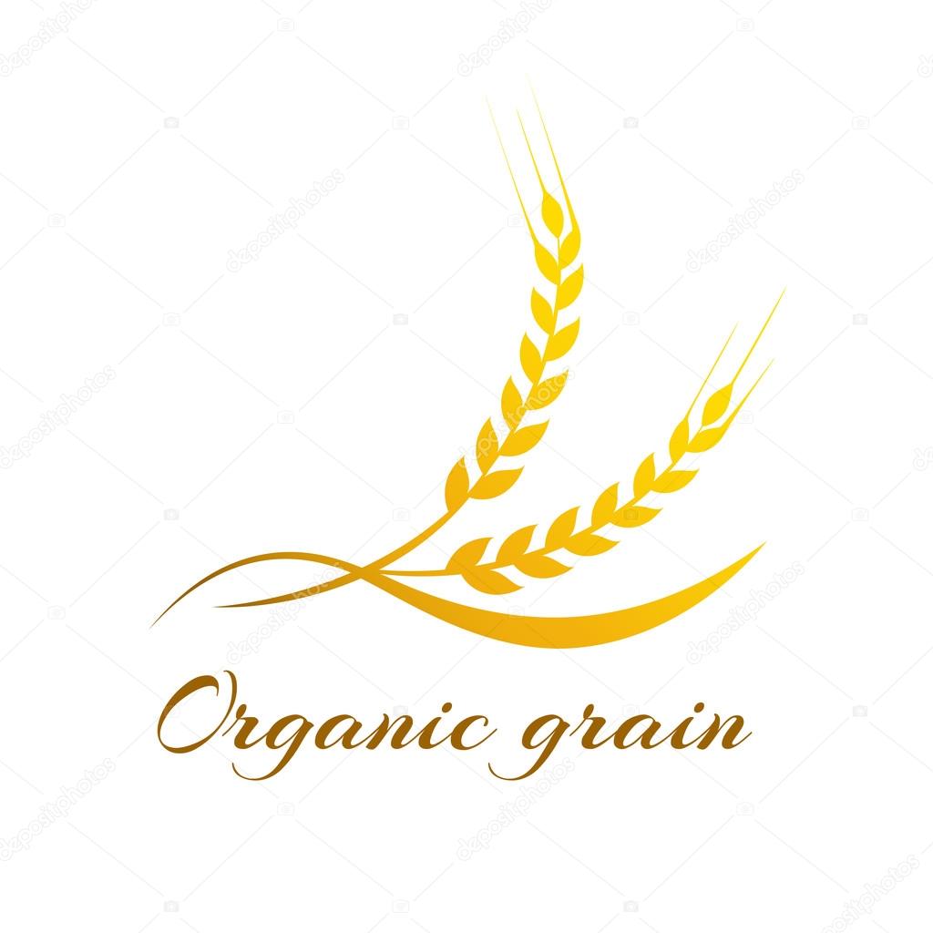Ears of Wheat, Vector Illustration, Icon of Premium Quality Farm Product