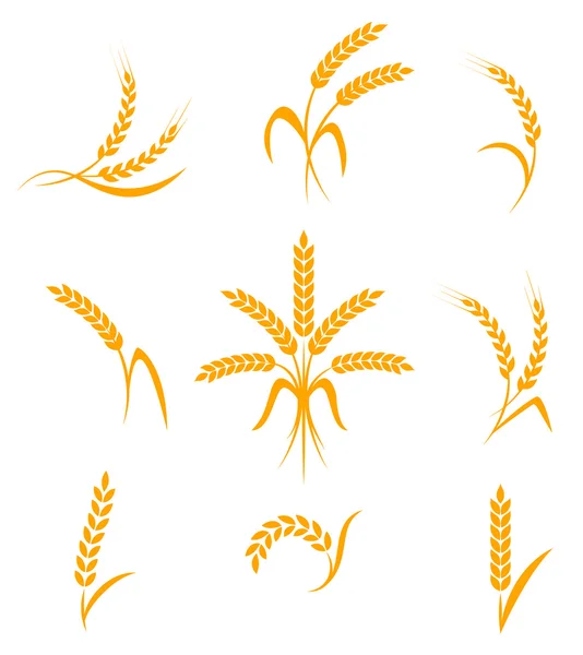 Abstract wheat ears icons — Stock Vector