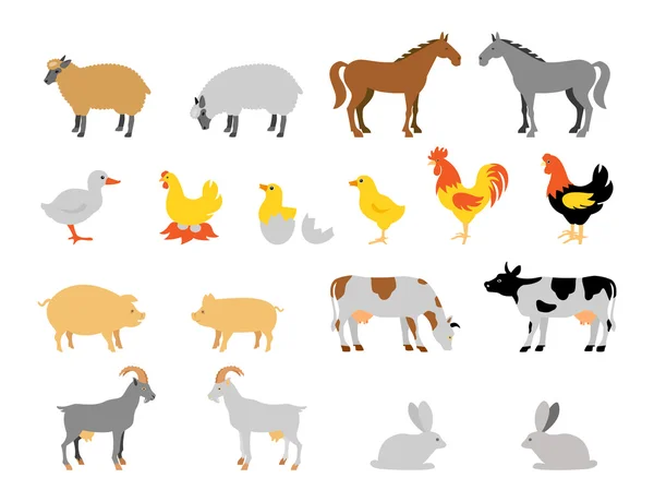 Colección de animales de granja. Carácter de estilo plano . — Vector de stock