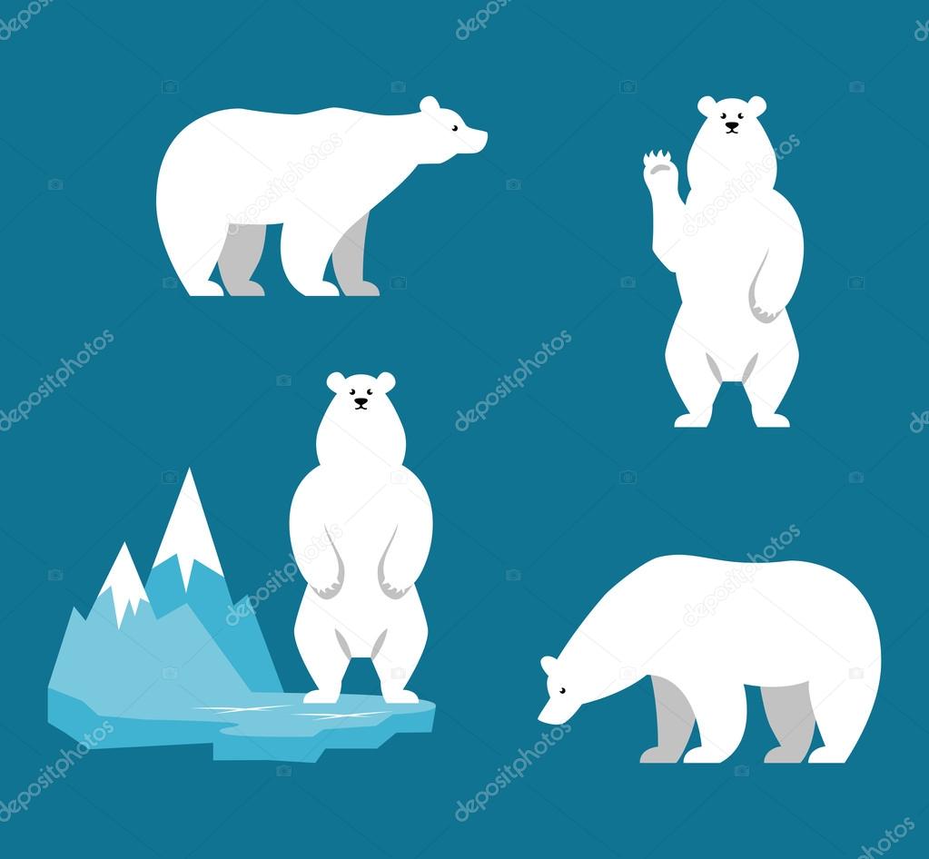 Polar Bears collection. Funny cartoon character.