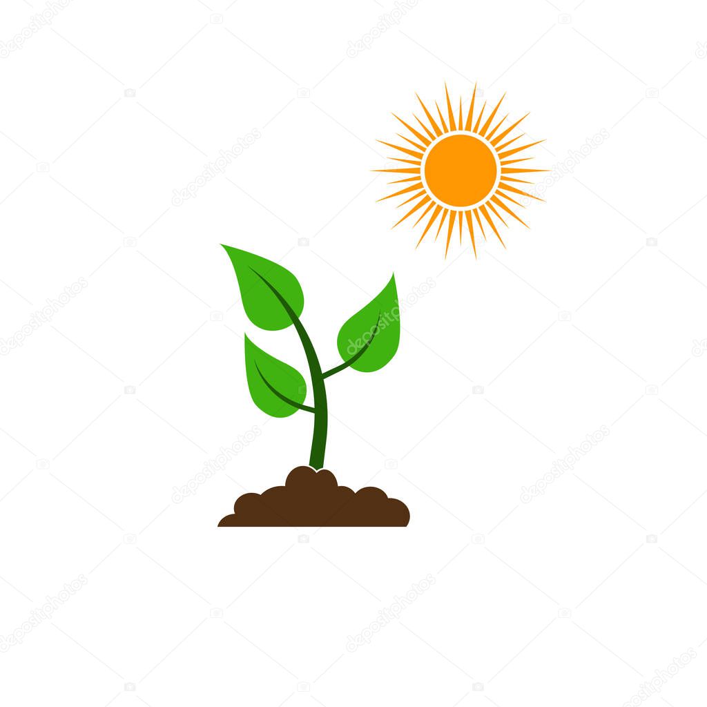 plant icon, sun sign of keeping nature plant ecosystem