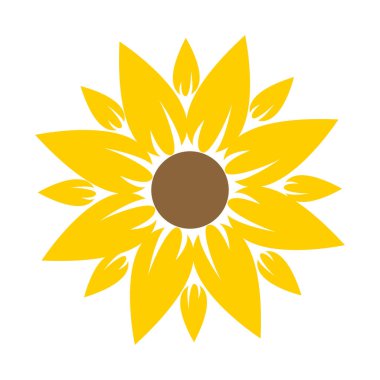 Düz stil izole edilmiş ayçiçeği