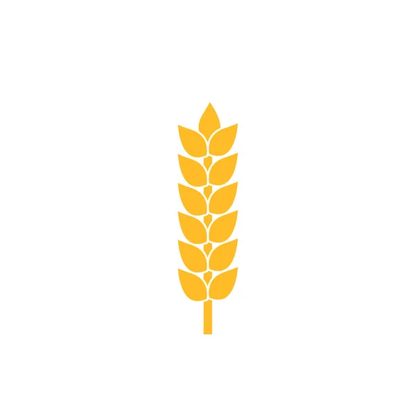 Pszenica Logo Szablon Charakter Symbol — Zdjęcie stockowe
