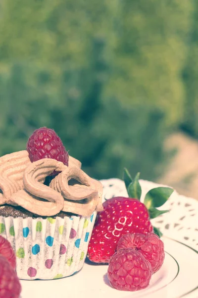 Homemade cream cup cake with raspberries and strawberries. Breakfast in nature.