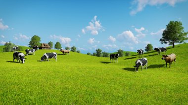 Yeşil mera üzerinde ineklerin otlatmak