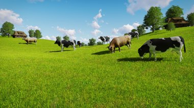 Yeşil çayırlar üzerinde inek otlatmak