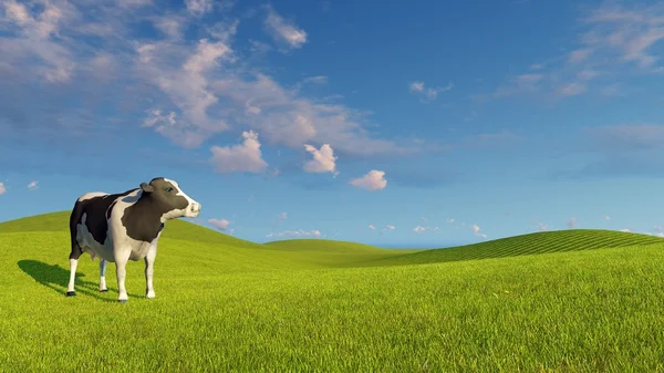 Mottled dairy cow on a green meadows — Stock Photo, Image