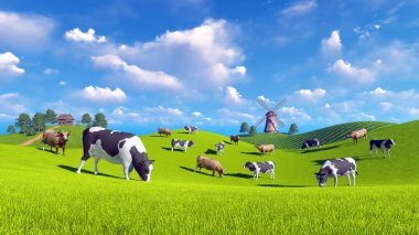 Süt inekleri bahar çayırlar üzerinde otlatmak