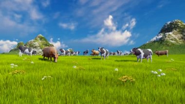 Yeşil dağ çayır üzerinde süt inekleri