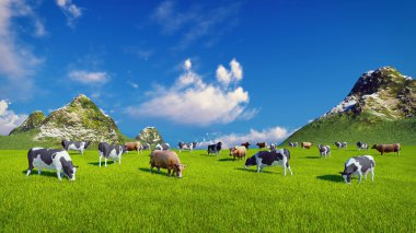 Yeşil alpine mera üzerinde süt inekleri