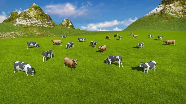 Herd of cows on alpine pasture Aerial view — Stock Photo, Image