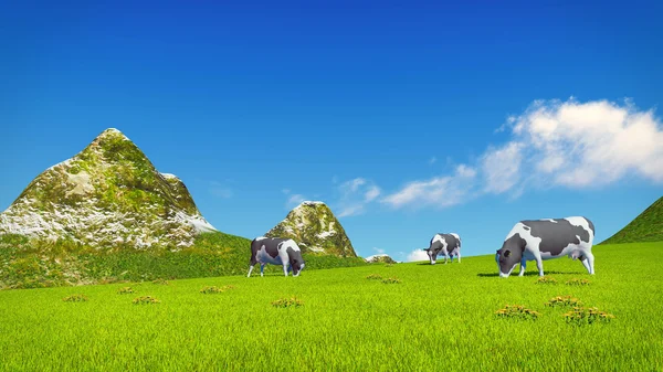 Mucche screziate pascolano sul prato alpino — Foto Stock