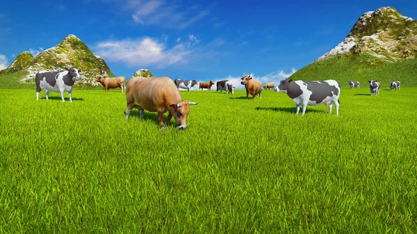 Tejelő tehenek alpesi legelőn közelről — Stock Fotó