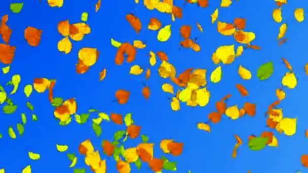 Őszi levelek lassú-mo rajzfilm animáció — Stock videók