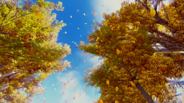 Осенние листья падают с деревьев в замедленной съемке — стоковое видео