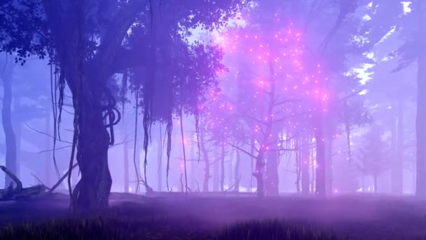 Ködös éjszaka erdő 4k fantasy Animáció Magic tree