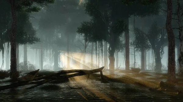 Straszne Krajobrazy Leśne Leśnych Bagnach Mistycznymi Światłami Świetlika Bajki Latające — Zdjęcie stockowe