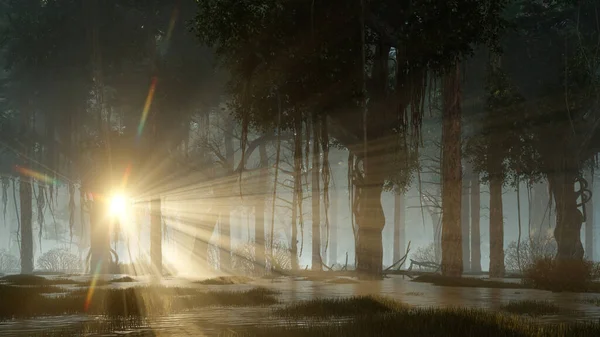 Сценический Закат Таинственном Лесном Болоте Последними Солнечными Лучами Сияющими Сквозь — стоковое фото