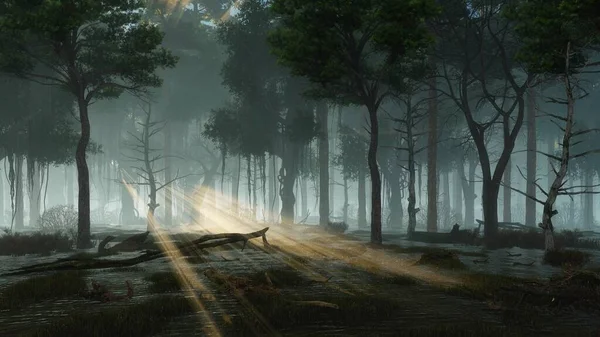 Doğaüstü Peri Ateşböceği Işıklarının Bataklık Gece Ormanında Ağaç Siluetlerinde Parlayan — Stok fotoğraf
